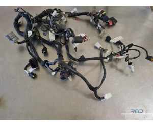 Main electrical harness RC8...