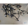 Main electrical harness RC8 2008 to 2015