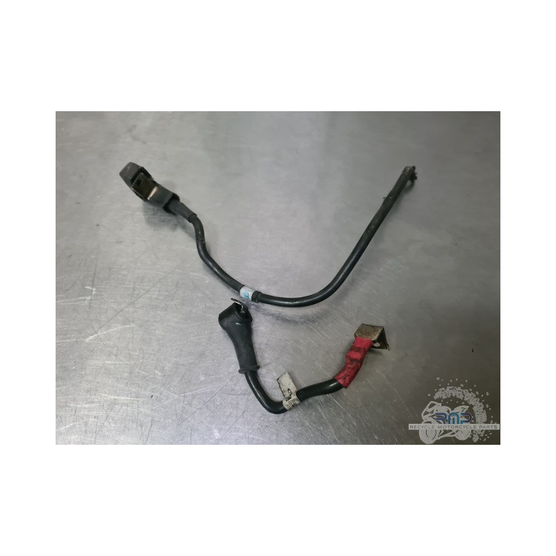 Cable de masse Ducati Monster 696 2007 à 2015 