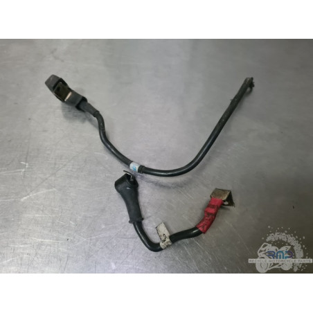 Cable de masse Ducati Monster 696 2007 à 2015 