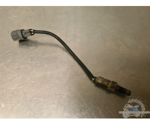 Sonde lambda grise Kawasaki ZX6R 2007 à 2008 