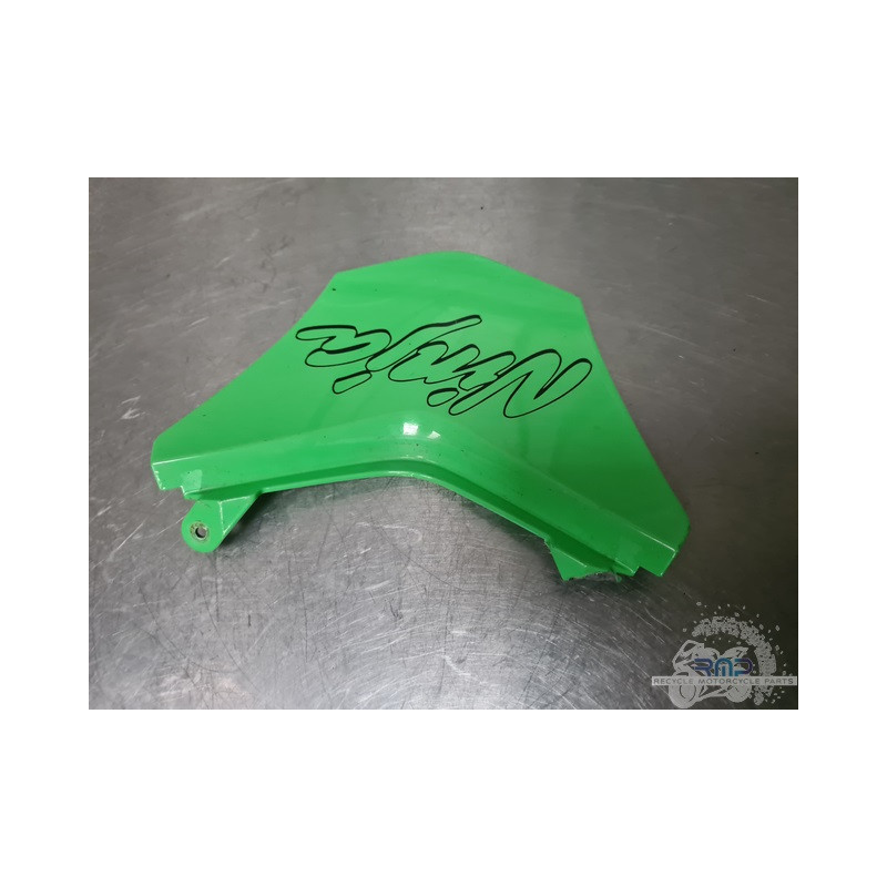 Coque arrière Kawasaki ZX10R 2008 à 2010 