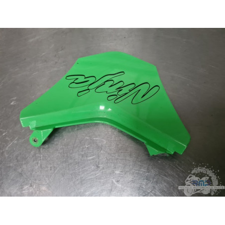 Coque arrière Kawasaki ZX10R 2008 à 2010 