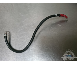 Cable de masse Ducati 959 Panigale 2016 à 2019  