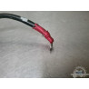 Cable de masse Ducati 959 Panigale 2016 à 2019  