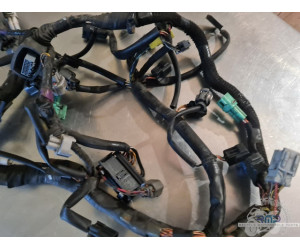 Main electrical harness 750 GSR 2011 to 2015