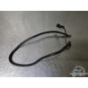 Cable de masse Suzuki SV 650 N 1999 à 2002 