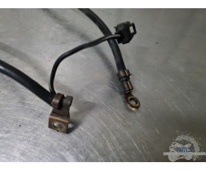 Cable de masse Suzuki SV 650 N 1999 à 2002 