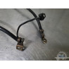 Cable de masse Suzuki SV 650 N 1999 à 2002 