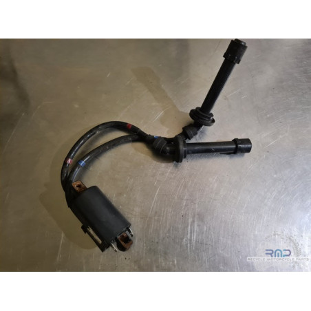 Ignition coil on cylinder 2 and 3 FZ6 S2 2007 to 2010