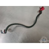 Cable de masse Suzuki SV 650 N 1999 à 2002 