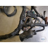 Main electrical harness FZ6 S2 2007 to 2010