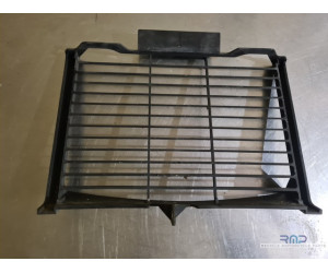 Radiator grille FZ6 S2 2007...