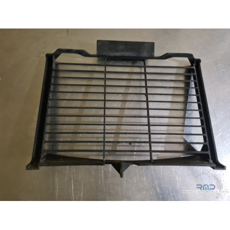 Radiator grille FZ6 S2 2007 to 2010