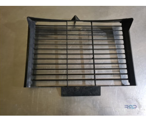 Radiator grille FZ6 S2 2007 to 2010