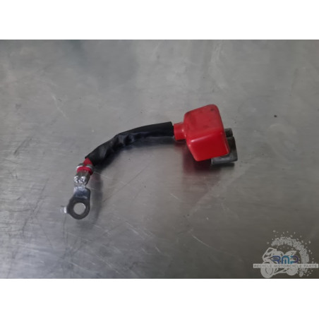 Cable de masse Suzuki SV 650 S 2003 à 2009 