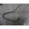 Cable de masse Yamaha FZ6 N 2004 à 2006 