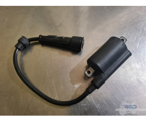 Ignition coil 690 SM R 2007...
