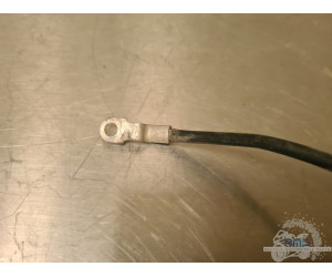 Cable de masse Honda 600 CBR FS 1999 à 2002 