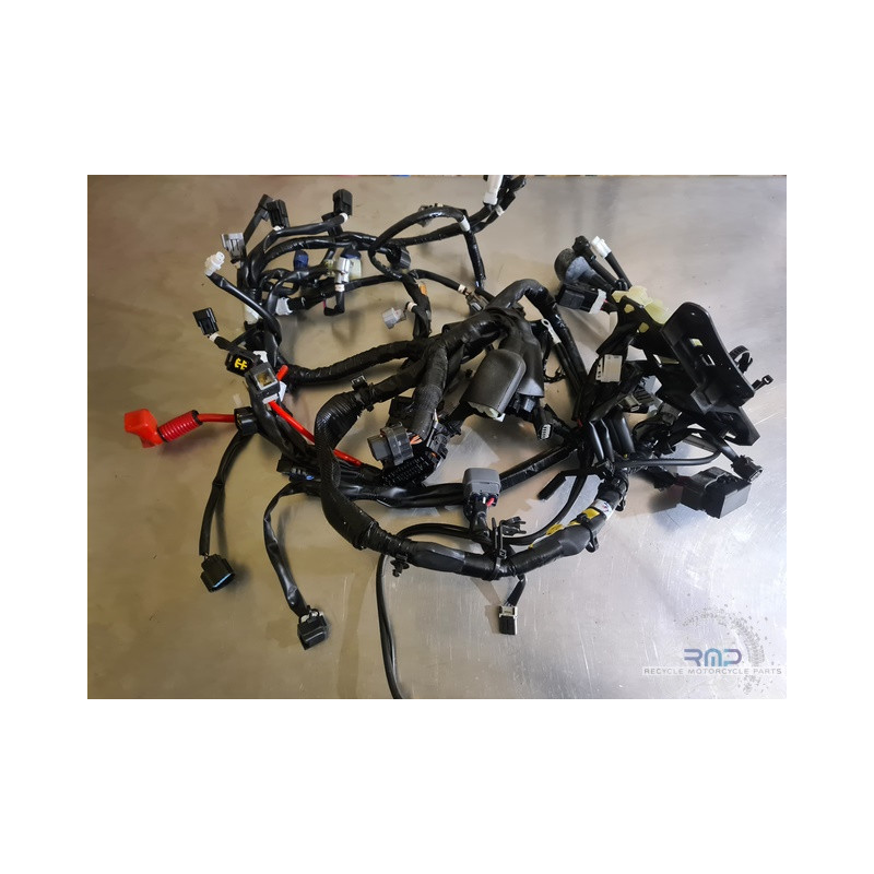 New main electrical harness R1 2015 to 2017