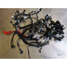 New main electrical harness R1 2015 to 2017