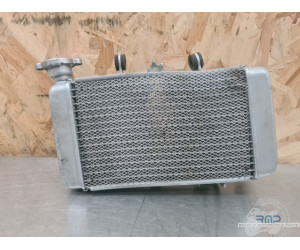 Radiateur Yamaha YZF R 125 2014 à 2018 