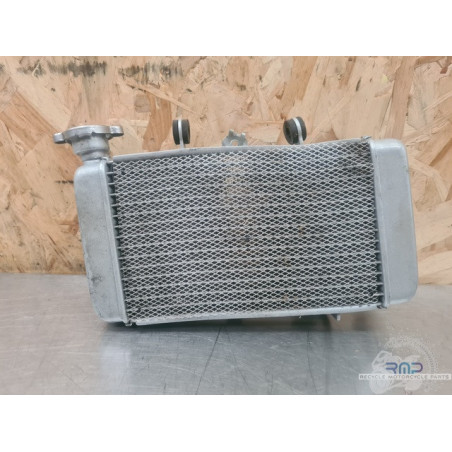 Radiateur Yamaha YZF R 125 2014 à 2018 