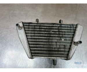 Radiateur d'huile Aprilia RSV4 2015 à 2017 