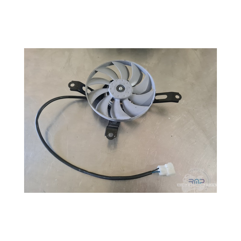 Fan R1 2015 to 2019