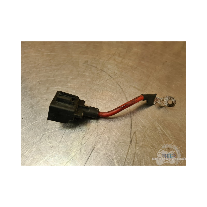 Cable de masse Ducati 600 SS 1994 à 1998 