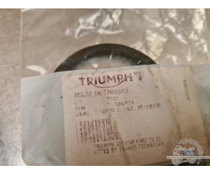 Joint T2100201 Triumph Street Triple 765 RS 2017 à 2019 