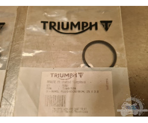 T2600138 Triumph Street Triple 765 RS 2017 à 2019 