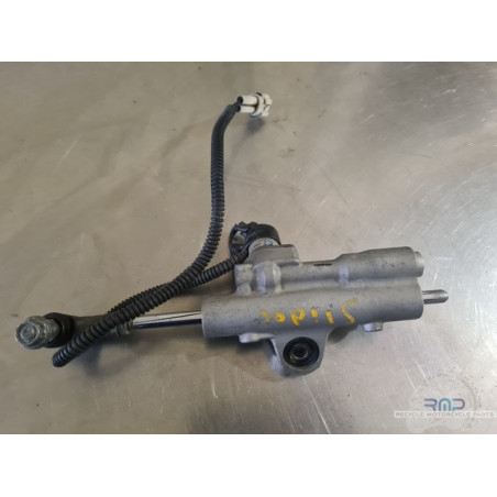 Steering damper R1 2015 to 2019