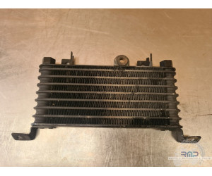 Radiateur d'huile Triumph Sprint ST 955 (T695) 1999 à 2005 