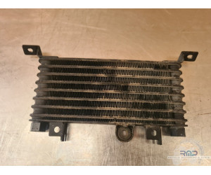 Radiateur Triumph Sprint ST 955 (T695) 1999 à 2005 