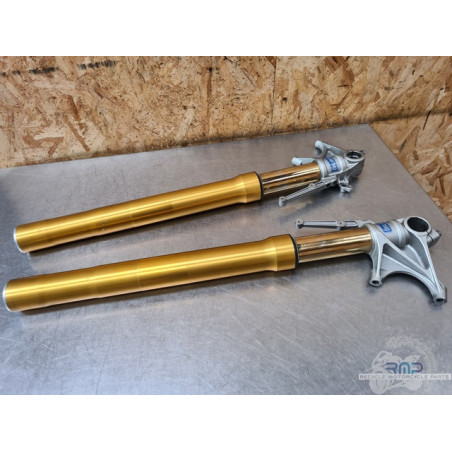 Paire de tube de fourche Ohlins Ducati Monster 1200 S 2014 à 2016 