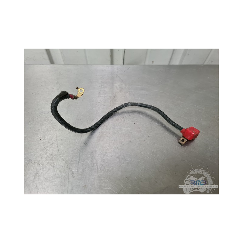 Cable de masse Suzuki SV 650 1999 à 2002 