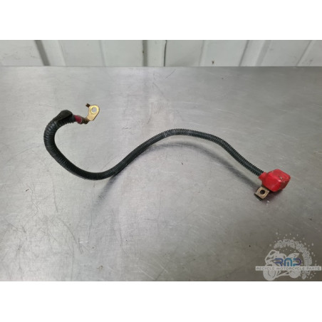 Cable de masse Suzuki SV 650 1999 à 2002 