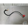 Cable de masse Suzuki SV 650 1999 à 2002 