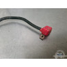 Cable de masse Suzuki SV 650 1999 à 2002 