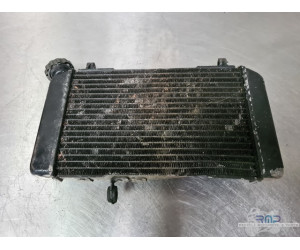 Radiateur Suzuki SV 650 1999 à 2002 