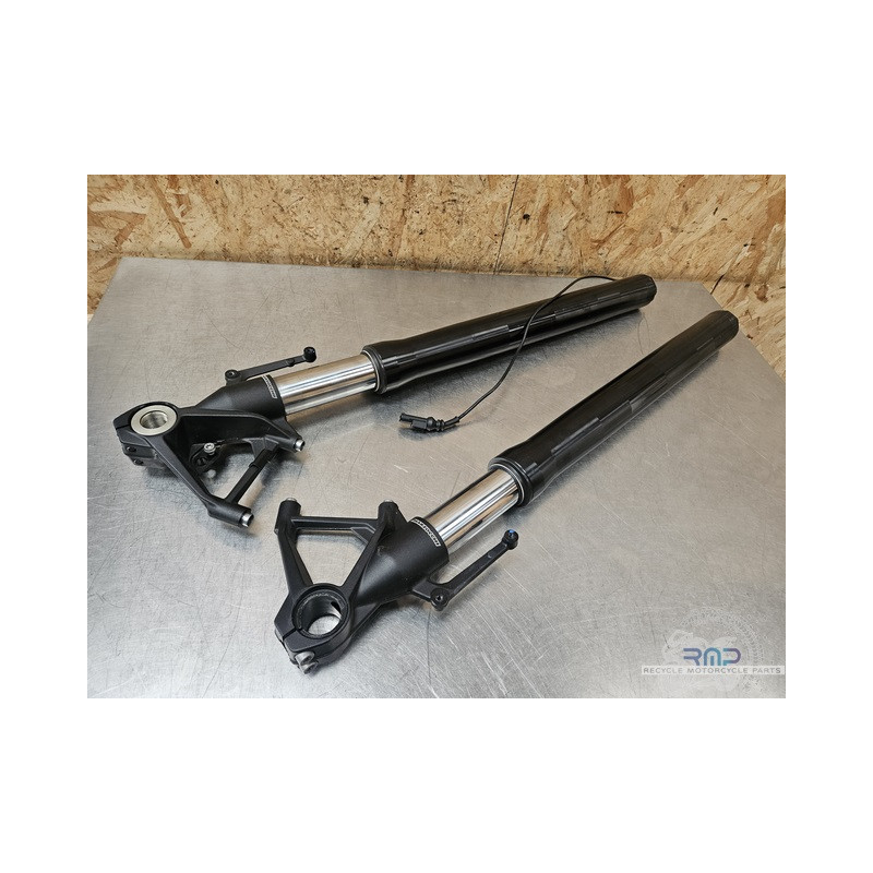 Paire de tube de fourche BMW M 1000 R 2023 à 2024