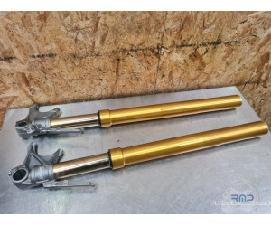 Paire de tube de fourche Ohlins Ducati Multistarda 1260 Pikes Peak 2015 à 2020 