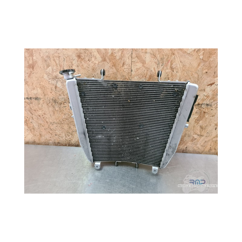 Radiateur d'eau Yamaha YBR 125 2004 à 2009 