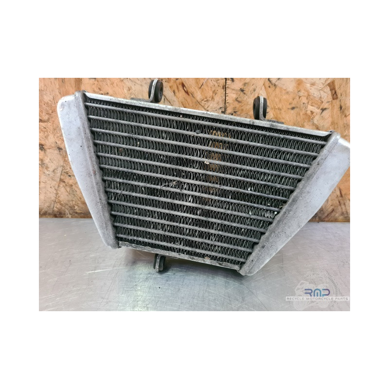 Radiateur d'huile Yamaha YBR 125 2004 à 2009 