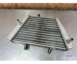 Radiateur d'huile Yamaha YBR 125 2004 à 2009 