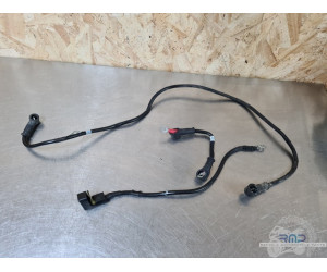 Cable de masse Ducati 1100 Monster Evo 20th anniversary  