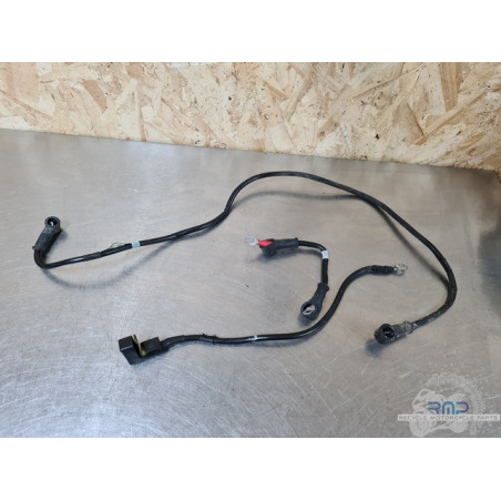 Cable de masse Ducati 1100 Monster Evo 20th anniversary  